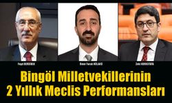 Bingöl Milletvekillerinin 2 Yıllık Meclis Performansları