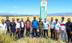 Bingöl'ün Dik Köyü'nde 'Tarla Günü' Etkinliği