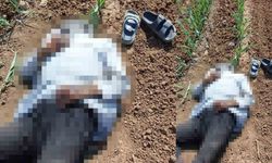 Mısır Tarlasında Erkek Cesedi Bulundu