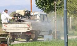 Genç Belediyesi İlaçlama Çalışmalarını Sürdürüyor