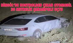 Bingöl'de Otomobil 30 Metrelik Uçuruma Uçtu