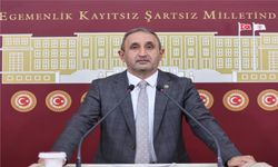 Bingöl'deki Su Sorununu TBMM Gündemine Getirdi!