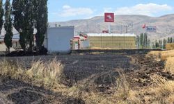 Karakoçan'da 23 Dönümlük Buğday Tarlası Küle Döndü