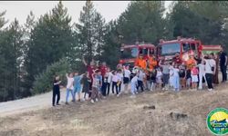 Yanan Ormanlık Alanda Ağaçlandırma Çalışması