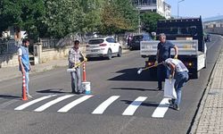 Bingöl'de Silinen Yaya Geçidi Çizgileri Yenileniyor