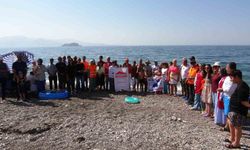 Van Gölü Sahilinde Temizlik Ve Sanat Buluşması Gerçekleşti