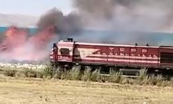 Van’da Erçek Gölü Kıyısında Sazlık Yangını Çıktı