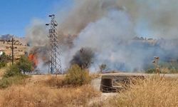 Patlayan Elektrik Direği Yangına Yolaçtı