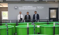 Bingöl’de Alabalık Üretimi Analiz Edilecek