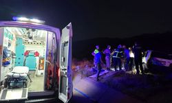 Bingöl'de Yola Çıkan At Kazaya Yolaçtı: 2 Yaralı