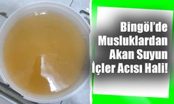 Bingöl’de Musluklardan Akan Suyun İçler Acısı Hali!