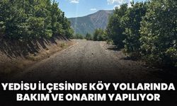 Yedisu İlçesinde Köy Yollarında Bakım Ve Onarım Yapılıyor