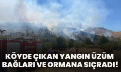 Köyde Çıkan Yangın Üzüm Bağları Ve Ormana Sıçradı!