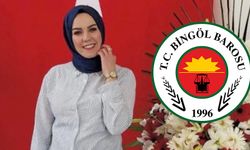 Bingöl Barosu: Kadın Cinayetlerinden Hepimiz Sorumluyuz