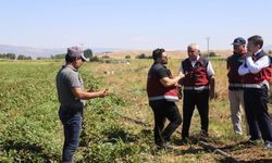 Bingöl'de Çilek Yetiştiricilerine Ziyaret