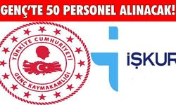 Bingöl'ün İlçesinde 50 Personel Alınacak!
