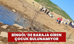 Bingöl’de Baraja Giren Çocuk Bulunamıyor