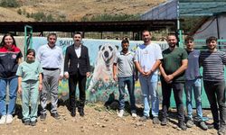 Kaymakam Tutal, Hayvan Barınağı'nda İncelemelerde Bulundu