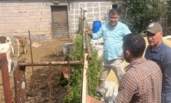 Kars'ta Şap Hastalığı Bilgilendirme Çalışmaları Sürüyor