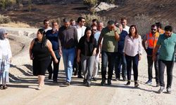 Lice'deki Yol Çalışmalarını İnceledi
