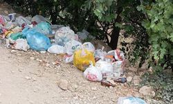 Doğa Harikası Şelale, Çöplüğe Döndü