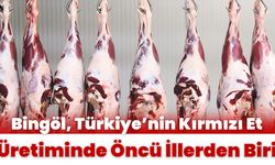 Bingöl, Türkiye’nin Kırmızı Et Üretiminde Öncü İllerden Biri
