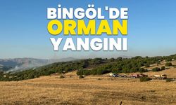 Bingöl'de Orman Yangını