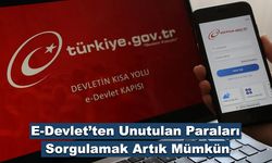 E-Devlet’ten Unutulan Paraları Sorgulamak Artık Mümkün