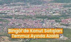 Bingöl’de Konut Satışları Temmuz Ayında Azaldı
