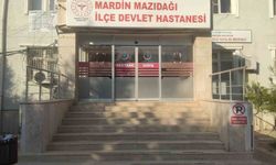 Muhtar Ceviz Ağacından Düşerek Ağır Yaralandı