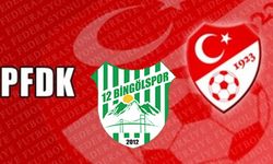 12 Bingölspor’a, PFDK’dan Para Cezası