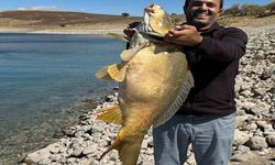 Keban Barajı'nda Oltayla 21 Kiloluk Sazan Yakaladı!