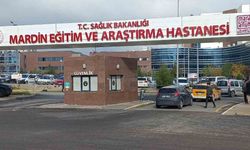 Mardin'de Ceviz Toplamak İçin Çıktığı Ağaçtan Düştü