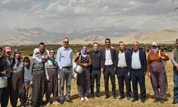Yüksekova'da Şap Hastalığı ile Mücadele Sonuç Verdi
