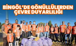 Bingöl’de Gönüllülerden Çevre Duyarlılığı
