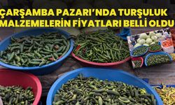 Çarşamba Pazarı’nda Turşuluk Malzemelerin Fiyatları Belli Oldu!