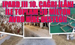 Bingöl İl Tarım Müdürlüğü'nden IPARD III Başvuru Duyurusu!