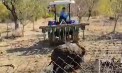 Yaban Domuzu Septik Kuyusundan Traktörle Çıkarıldı