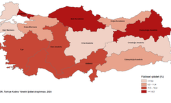 Kadına Şiddetin En Yüksek Ve En Düşük Olduğu Bölgeler Açıklandı