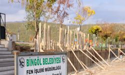 Bingöl Kentpark 2 Gün Kapalı Kalacak!