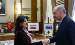 DEM Parti İmralı Heyeti Cumhurbaşkanı Erdoğan ile görüşecek