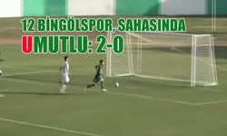 12 Bingölspor, Sahasında Mutlu: 2-0
