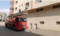 Demir Korkuluğa Sıkışan Güvercin Kurtarıldı