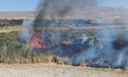 Van Gölü Havzası’nda Ekosistem Uyarısı!