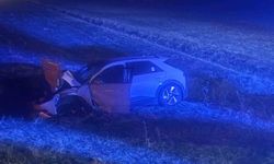 Otomobilin Çarptığı İnek Telef Oldu!