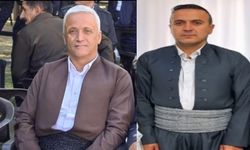 Hakkari’de Kamyonet Kazasında İki Kişi Hayatını Kaybetti