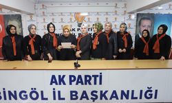 AK Parti’den Kadına Yönelik Şiddetle Mücadele Açıklaması