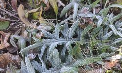 Göle'de Termometreler Eksi 6 Dereceyi Gösterdi!