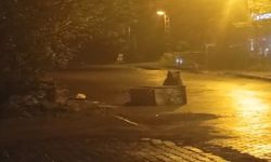 Aç Kalan Ayı, İlçe Merkezinde Görüldü