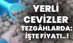 Yerli Cevizler Tezgâhlarda: İşte Fiyatı..!
